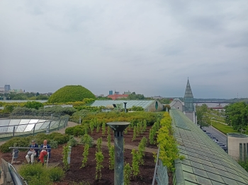 IMG-20250522-WA0055