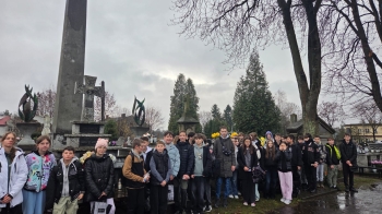 motion_photo_3770216030471622631