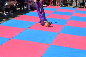 DSC_0847.JPG