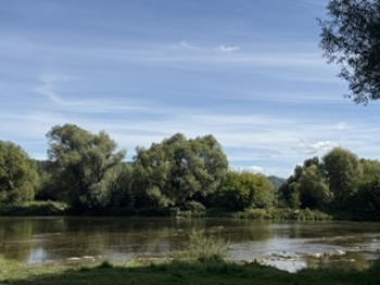 IMG_9197.jpeg