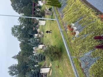 IMG_0963.jpeg