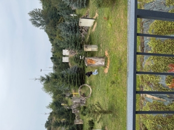IMG_0965.jpeg
