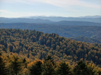 IMG-20261001-WA0013